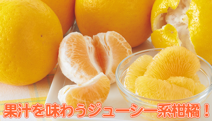 無農薬オレンジ河内晩柑❣️甘い❣️人気リピ多めちゃくちゃジューシー❣️家庭用80サイズ