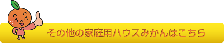 究極のみかん　ハウスみかん