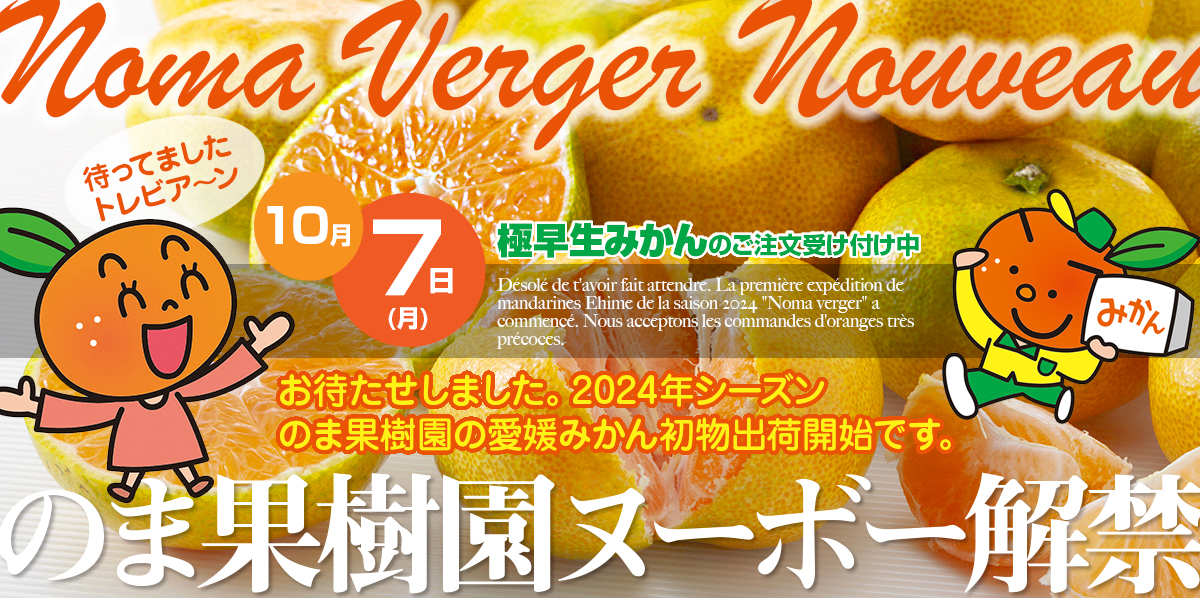 愛媛県産みかん(早生)＆媛まどんな、予約受け付けスタート！ | みかん専門店・愛媛みかんの「のま果樹園」