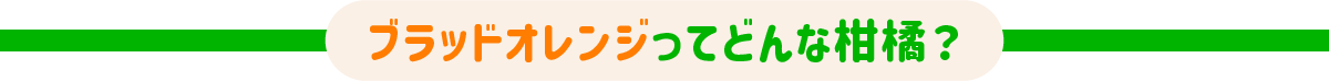 どんな柑橘？