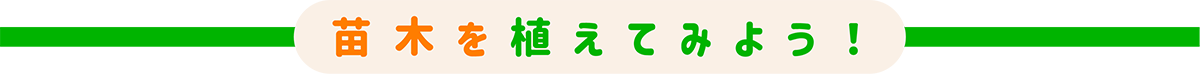 苗木を植えてみよう！