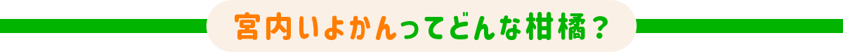 どんな柑橘？