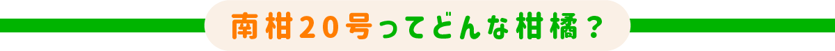 どんな柑橘？